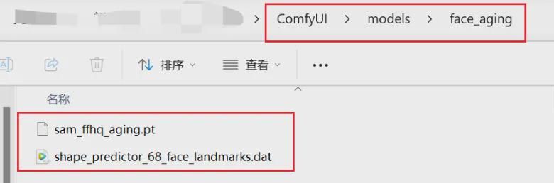 comfyui工作流，不用写提示词的人像插件生成从出生到百岁面容照片